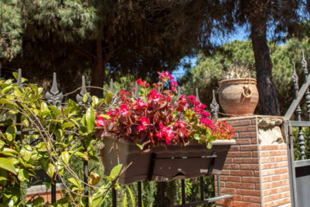 A stunning floral arrangement by a Fiorista Villaverla featuring seasonal blooms.